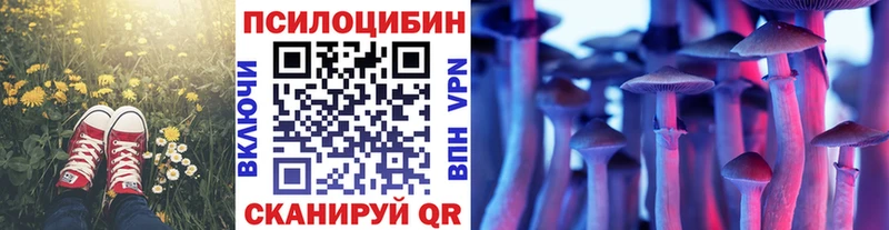 Галлюциногенные грибы Psilocybine cubensis  Луга 