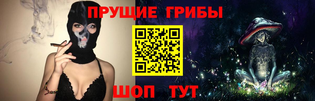Луга  Псилоцибиновые грибы MAGIC MUSHROOMS  Галлюциногенные грибы прущие грибы  Вход с VPN 